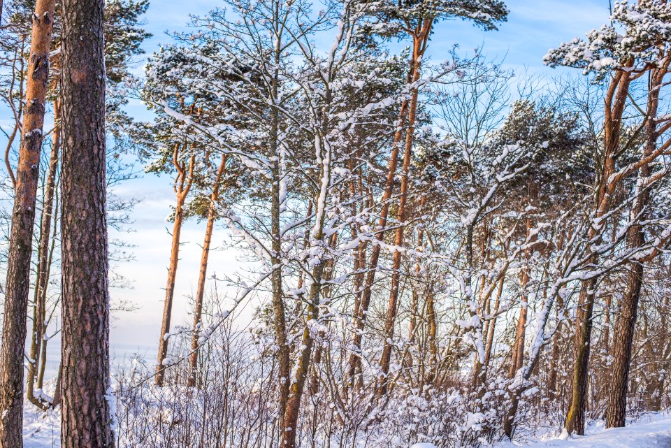 Tallinn, Estonia, Snow