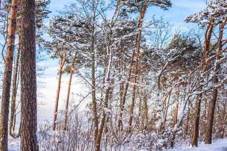 Tallinn, Estonia, Snow