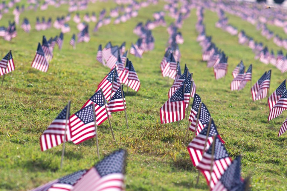 selective focus photography of USA flaglets planted on ground