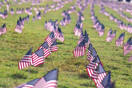 selective focus photography of USA flaglets planted on ground