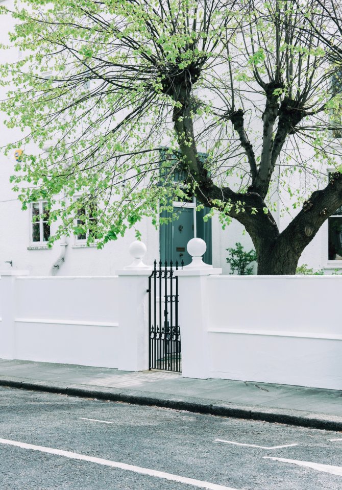 green tree near white concrete building