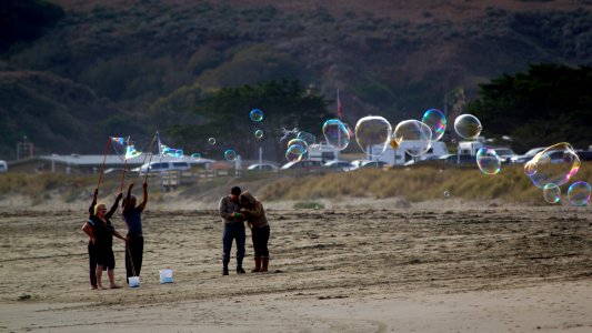 Bodega bay, United states, Beach photo