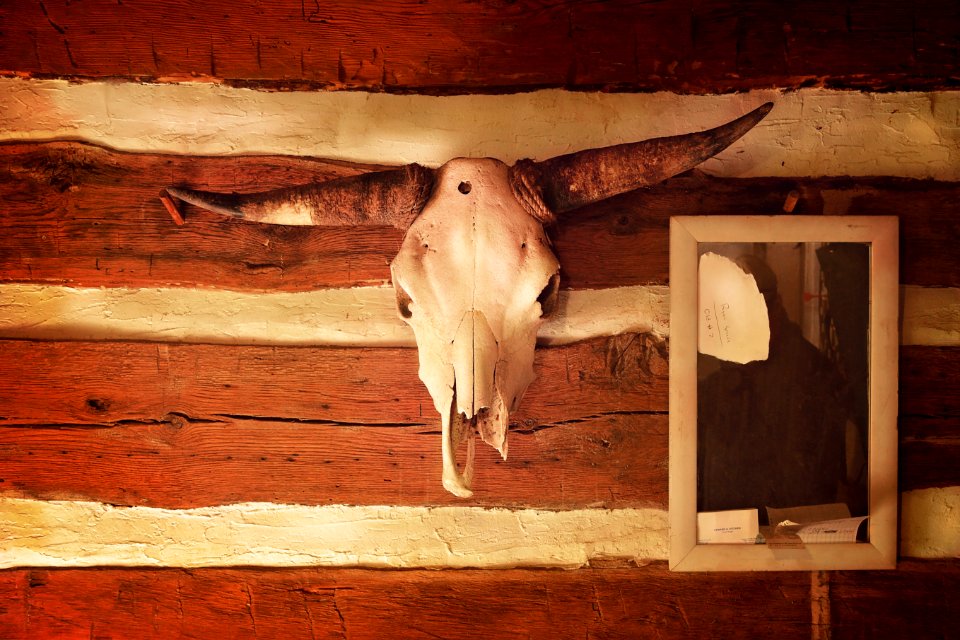 Taxidermy, Lodge, Wall
