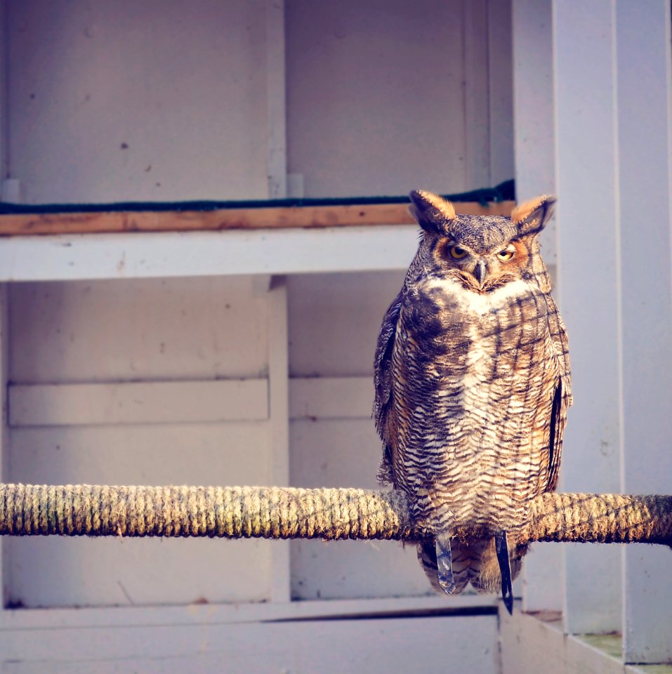 Shavers creek environmental center, Petersburg, United states