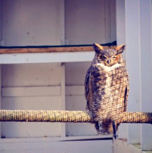 Shavers creek environmental center, Petersburg, United states photo