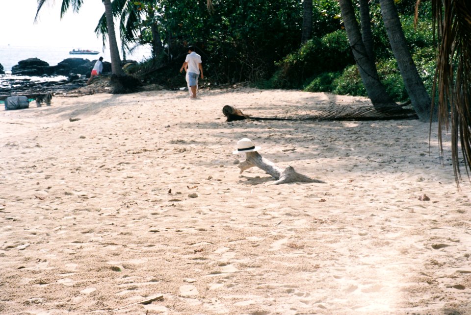 Phu quoc, Vietnam, Hat photo