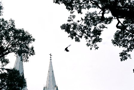 Notre dame cathedral nh th c b, Ho chi minh city, Vietnam photo