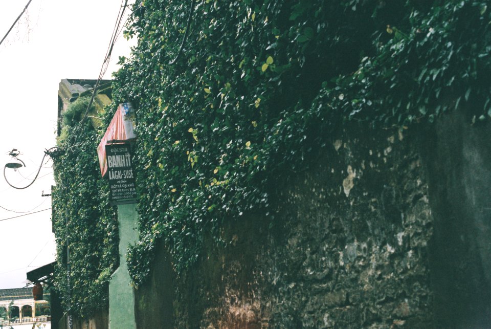 Quang nam province, Vietnam
