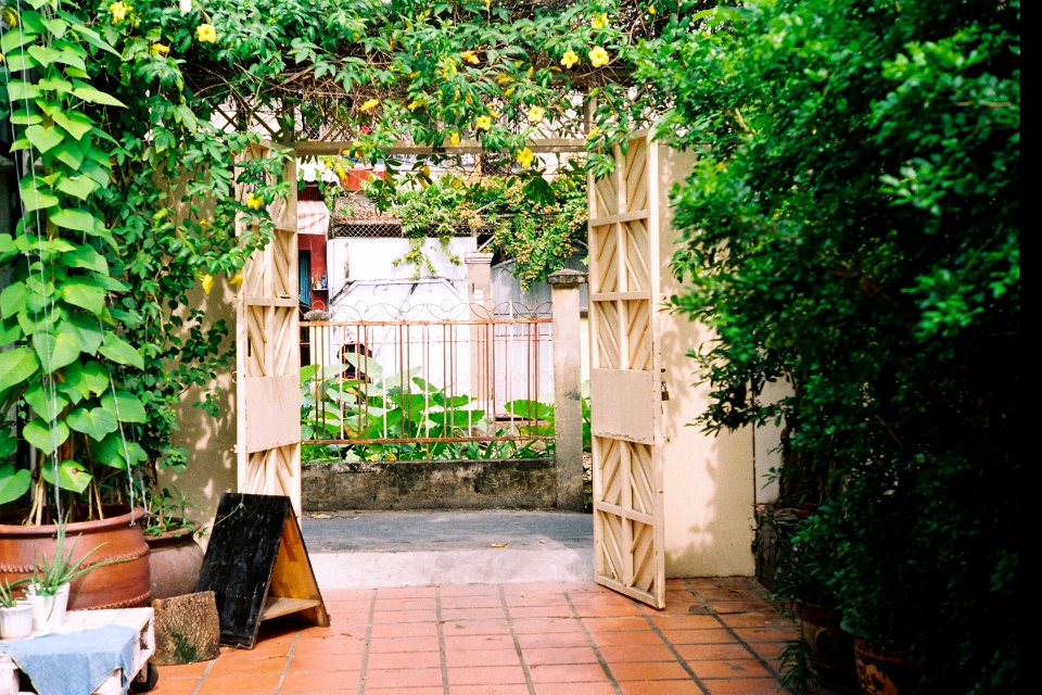 Hochiminhcity, Home, Nature