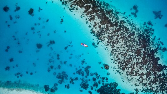 Island nature ocean