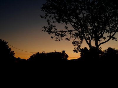 France, Trees, Night scape