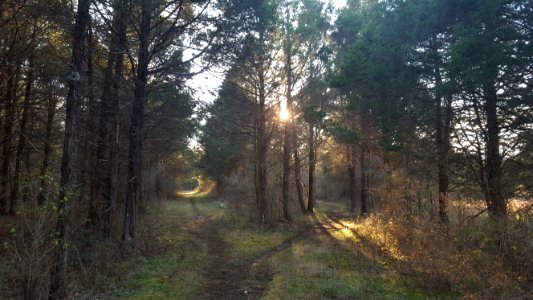Peaks view park, Lynchburg, United states