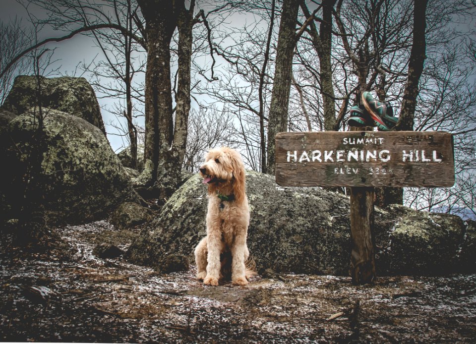 Harkening hill, United states, Shoes