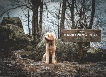 Harkening hill, United states, Shoes