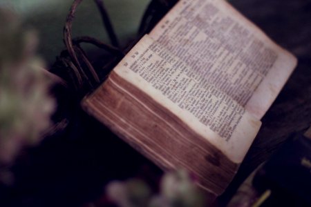 close up photo of bible opened near flowers photo