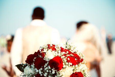Photography, Flowers, Buildings