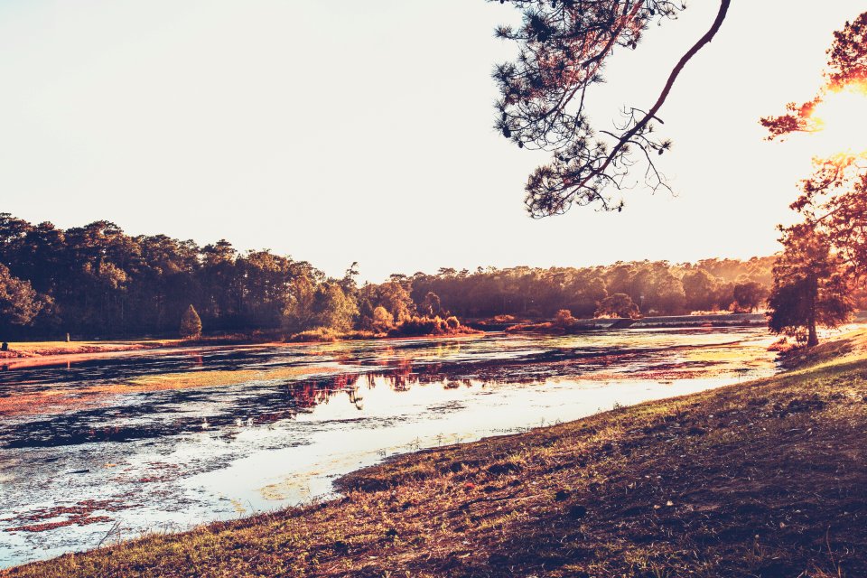 Alabama, Awesome, Park