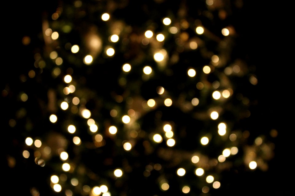 Shining, Festive, Bokeh