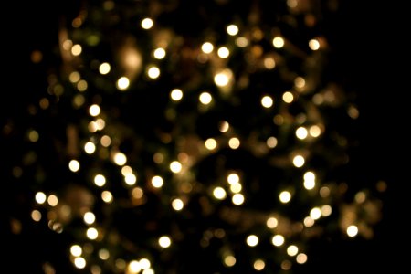 Shining, Festive, Bokeh