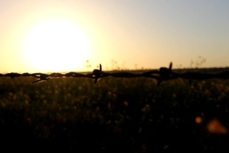 Texas, United states, Fence
