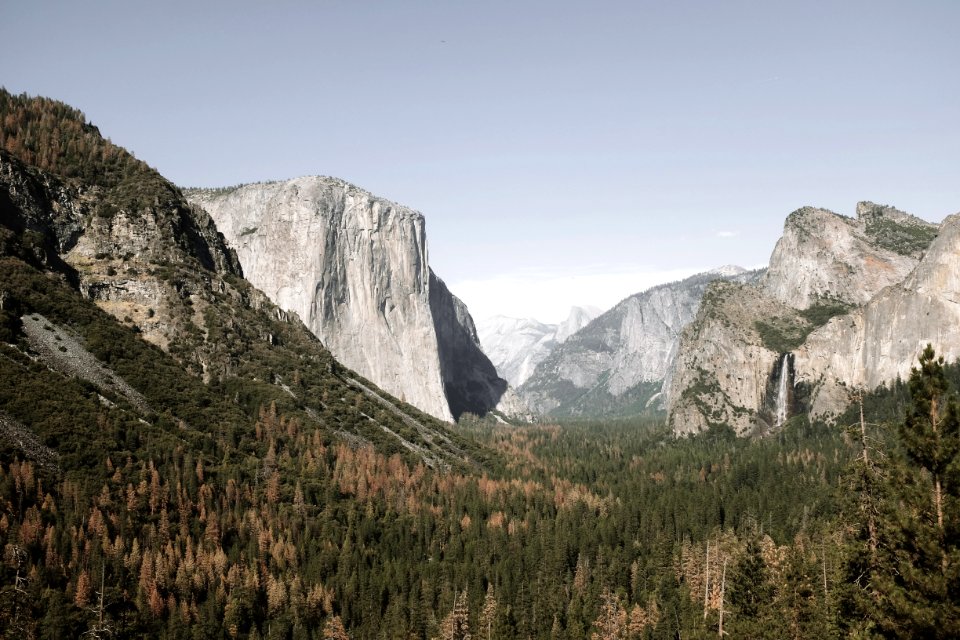 green trees near mountains