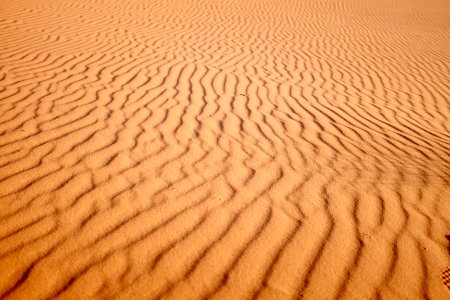 focus photo of desert