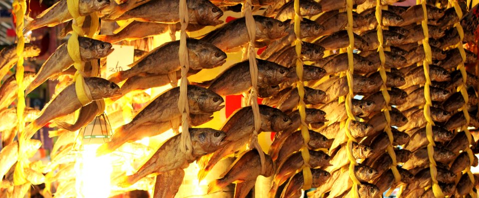 Seoul, South korea, Night market photo