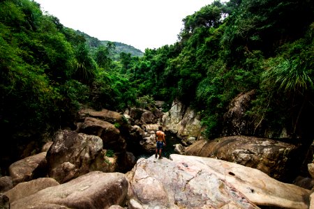 person standing on rock facing forest