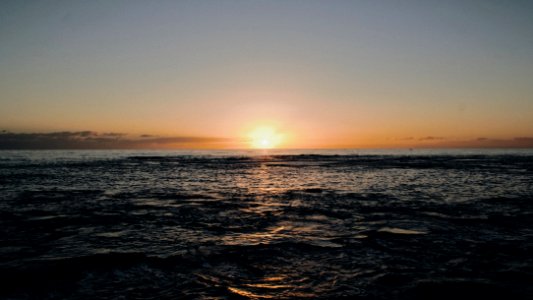 Nikon, Perth, Dying light