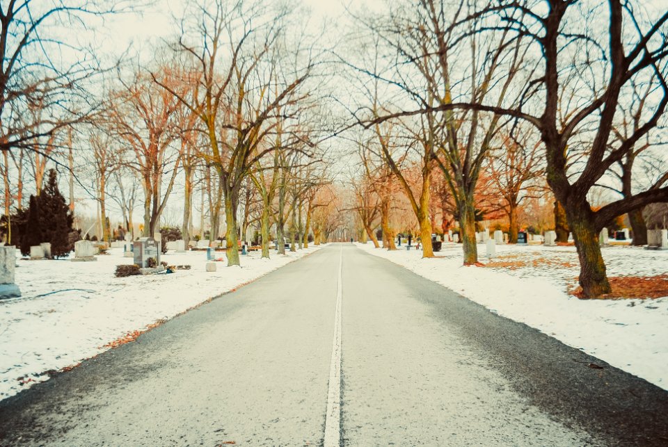 Mount pleasant cemetery, Cremation, Funeral centres