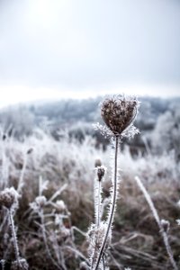 Vrchlab , Czechia, Winter
