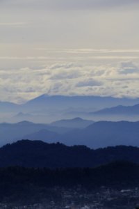 Puncak, Indonesia, Nature photo