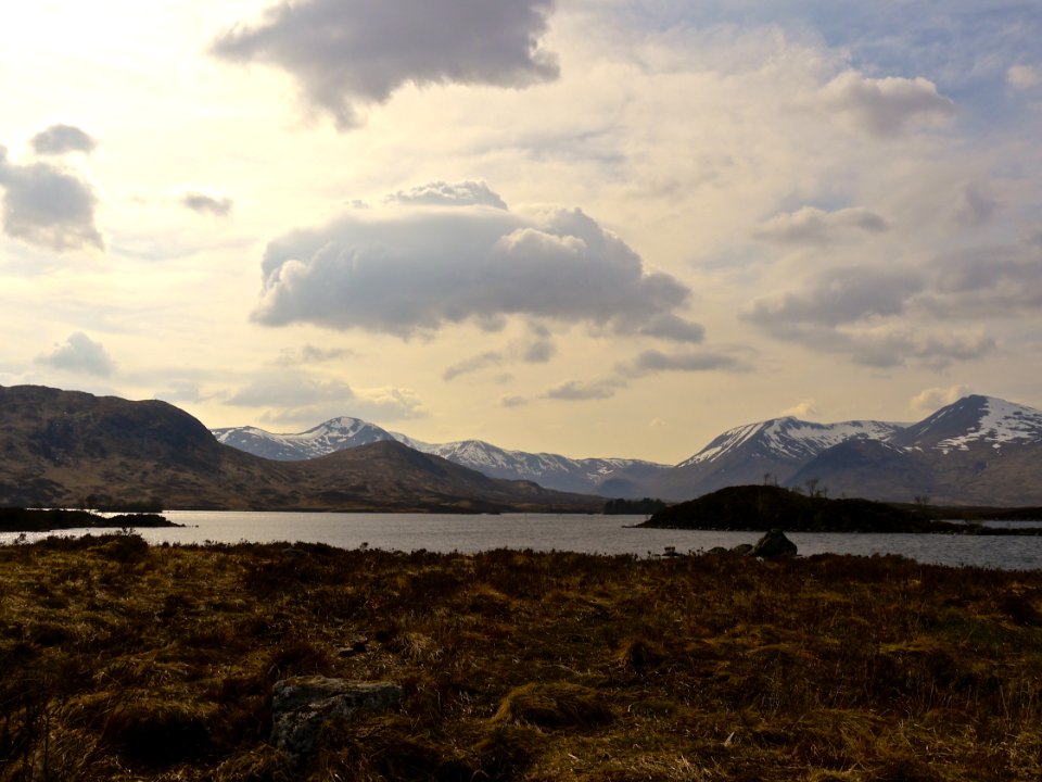 Scotl, United kingdom, Wildlife