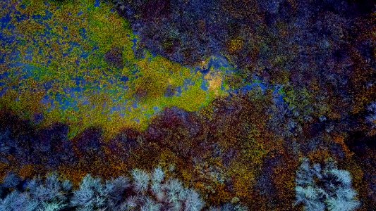 green, blue, and brown mat