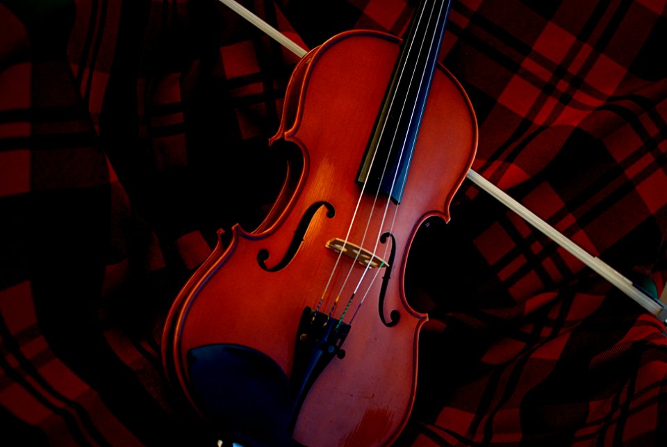 Closeup, Celtic, Plaid