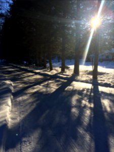 Shadows, Sunshine, Evening