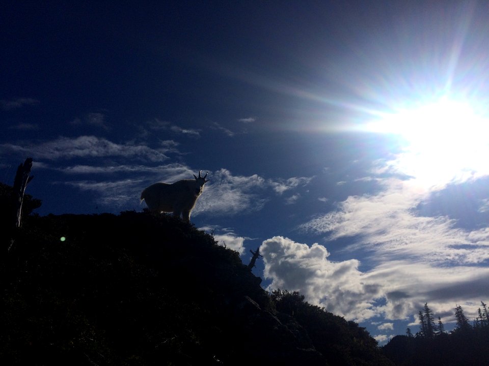 Beauty, Majestic, Nature