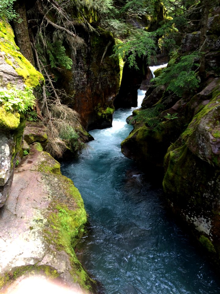 Nature, Scape, Glacier national park - Free Stock Photos | Creazilla