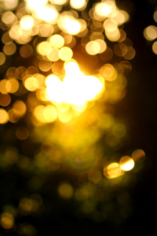 Bokeh, Sunlight, Blur
