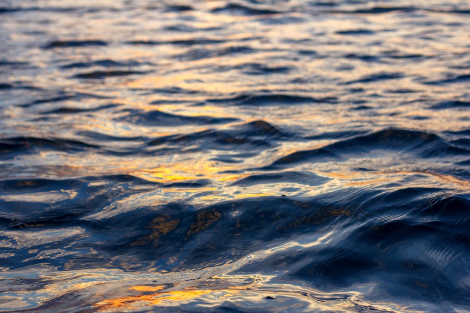 Fort de soto county park, Tierra verde, United states