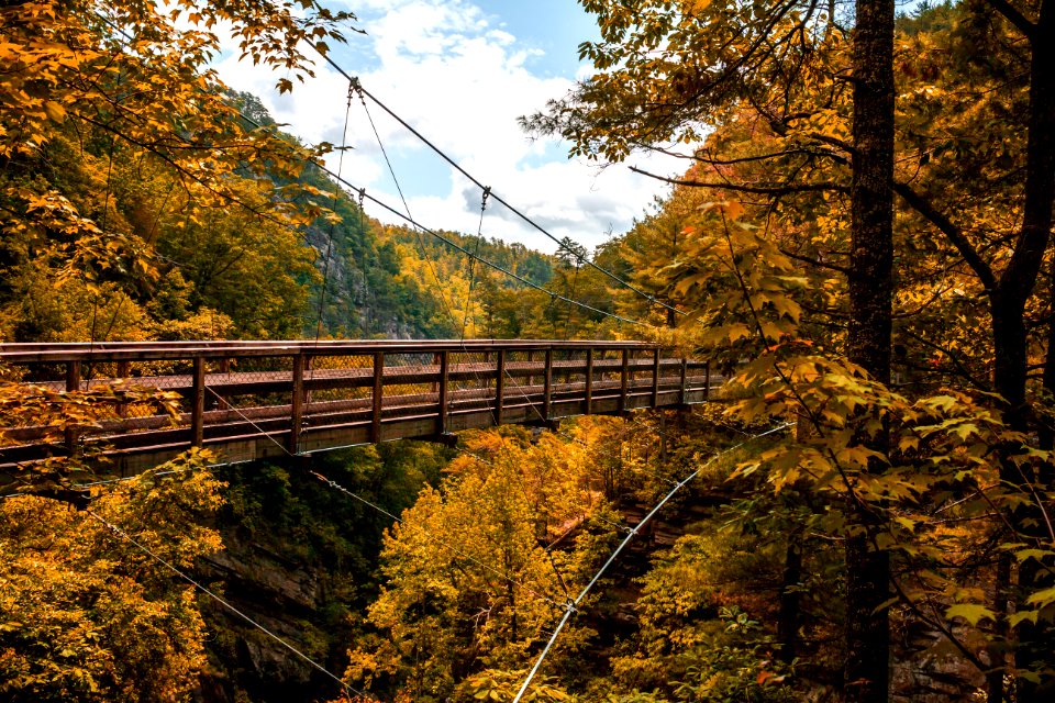 Tallulah gorge state park, Tallulah falls, United states