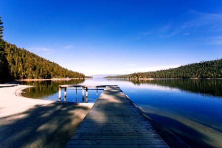 gray dock on body of water near green leafed trees photo