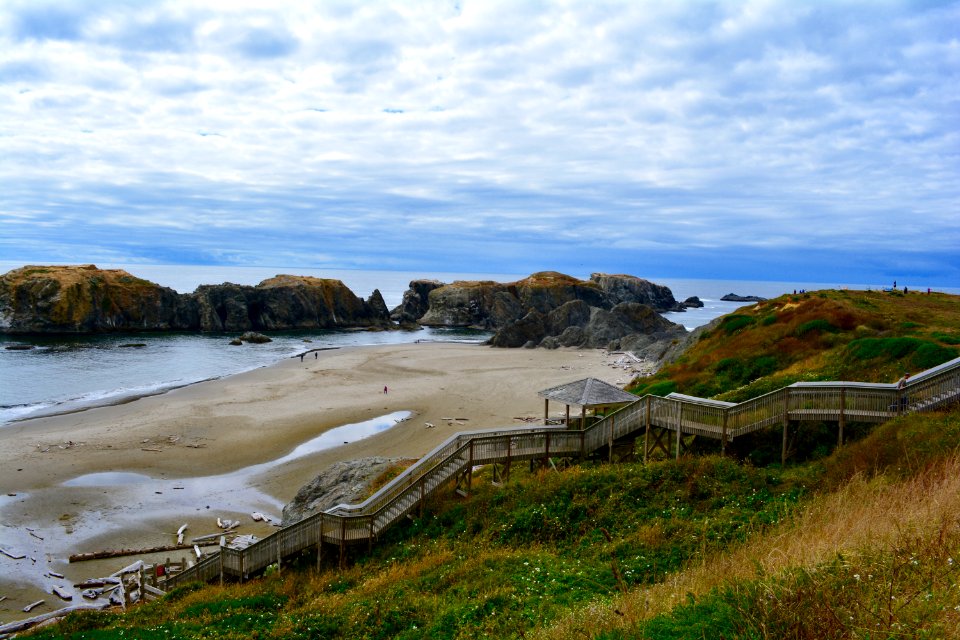 United states, Grass, Ocean