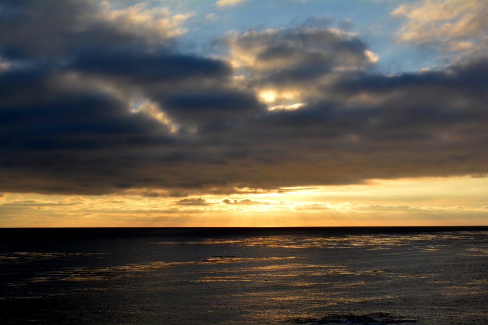 Santa cruz, United states, Computer