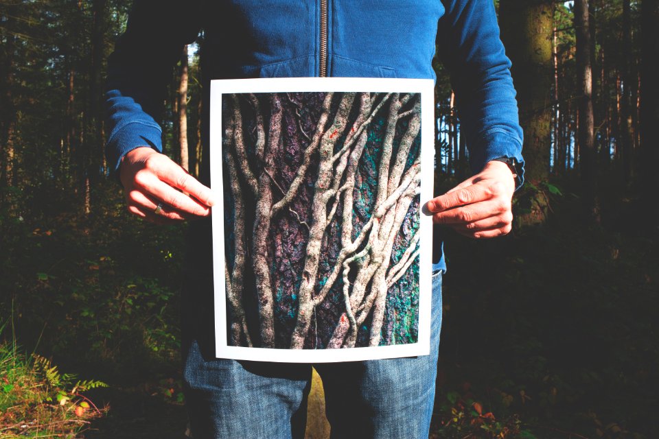 person holding photo of roots photo