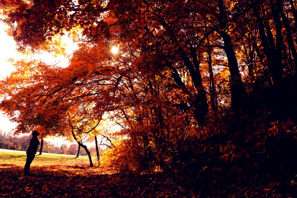 Van buren trail state park, Hartford, United states
