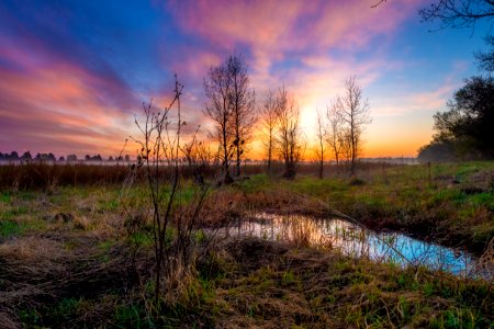 green grass field under blue and white cloudy sky photo