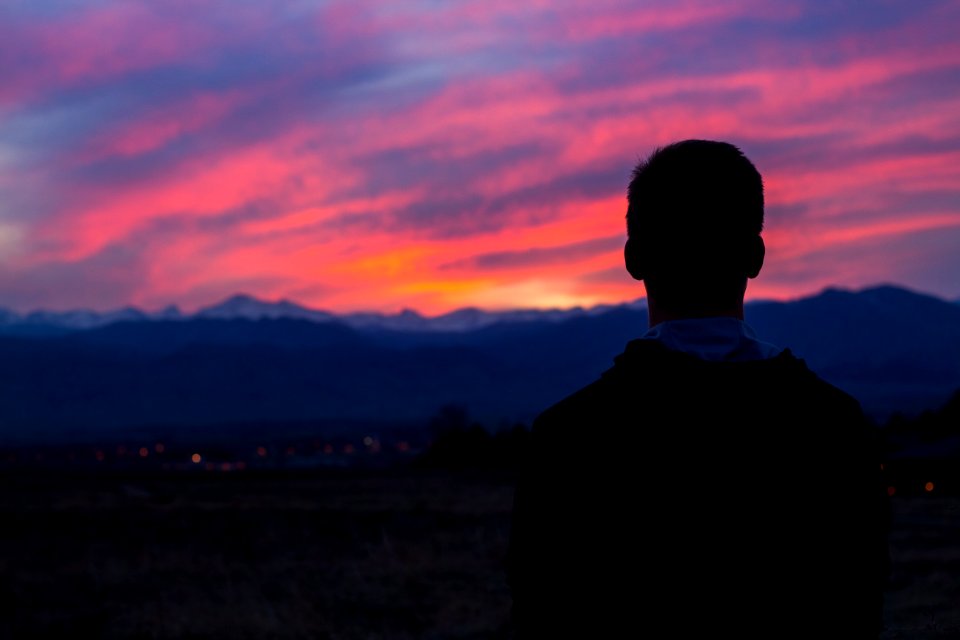 Niwot, United states, Artsy