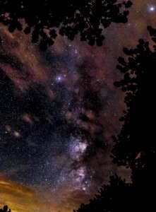 star gazing photography photo