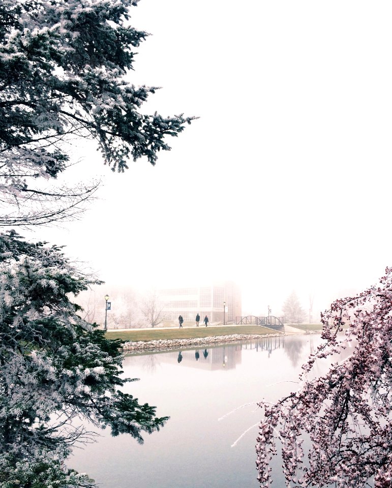 Cedarville, United states, Snow